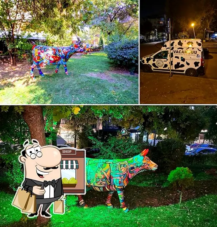 Vaca Muuu Bucuresti - location photo