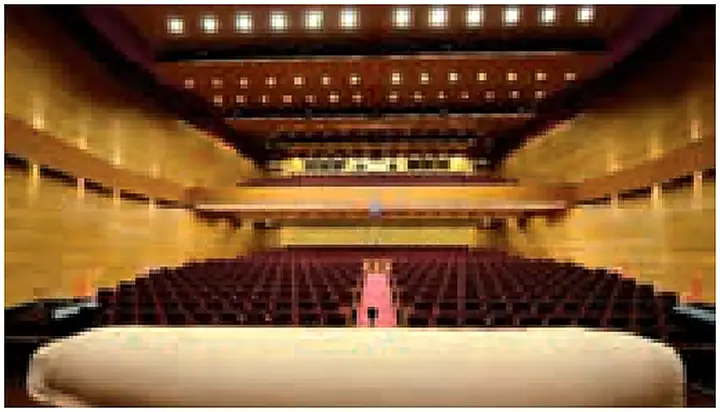 Pallady Auditorium - portfolio image