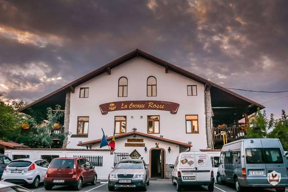 Cocosul Rosu Bucuresti - attached location photo