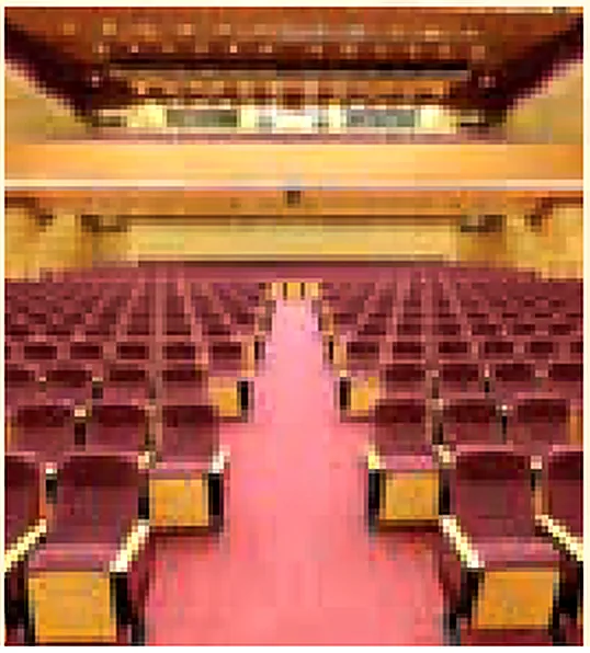 Pallady Auditorium - portfolio image